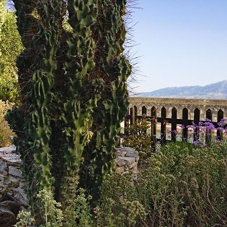 Villa Athina Megala Chorafia Eksteriør billede