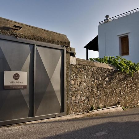 Villa Athina Megala Chorafia Eksteriør billede
